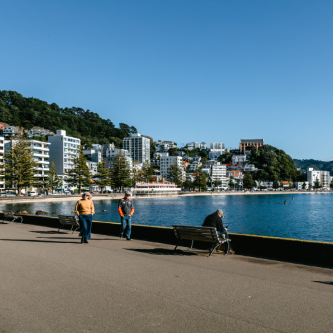 WNZ Oriental Bay 18062023 Credit Wellingtonnz Phoebe Mackenzie 21 500x500